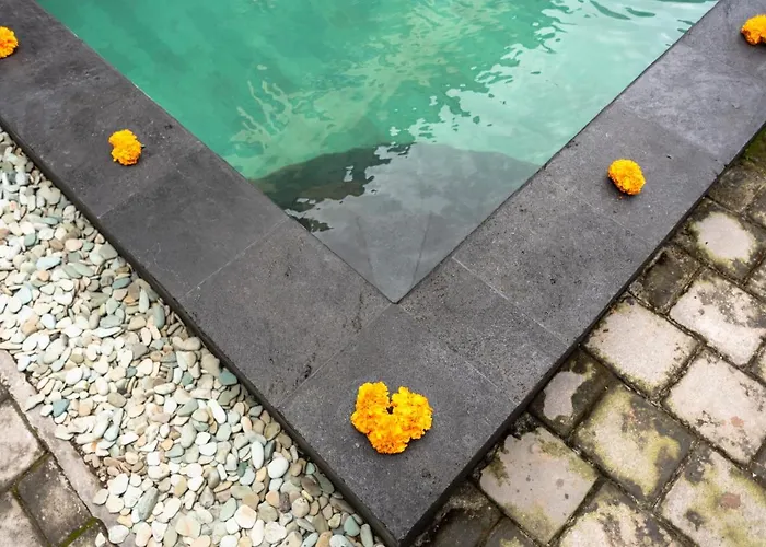 招待所 布亚纳家庭旅馆 乌布